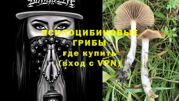 МДМА Медногорск