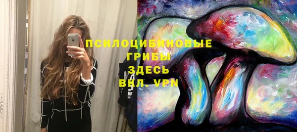 МДПВ Медвежьегорск
