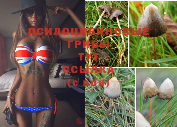 винт Зарайск