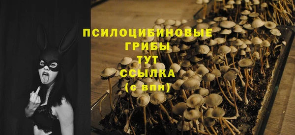 МДПВ Медвежьегорск
