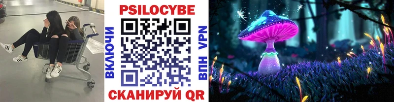KRAKEN как зайти  Магас  Галлюциногенные грибы прущие грибы 